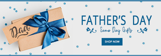 GIFT IDEAS FOR FATHER'S DAY